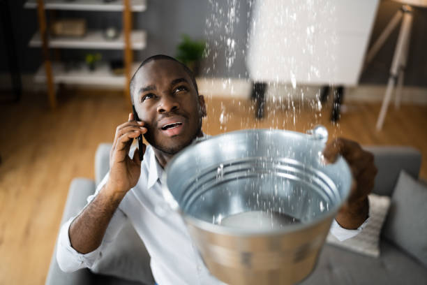 Best Residential water damage restoration  in Nokomis, FL
