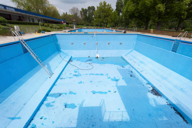 Best Mold removal after water damage  in Nokomis, FL