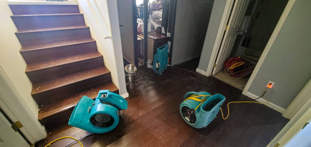 Professional Water damage restoration in Nokomis, FL