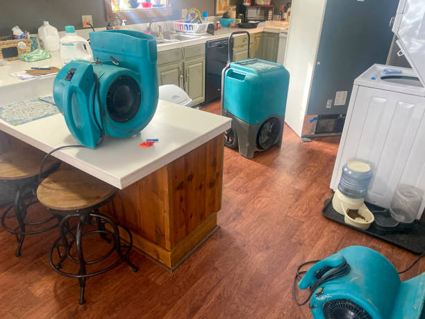 Best Flood restoration services  in Nokomis, FL