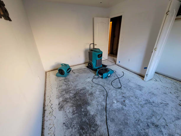Best Water damage restoration near me  in Nokomis, FL
