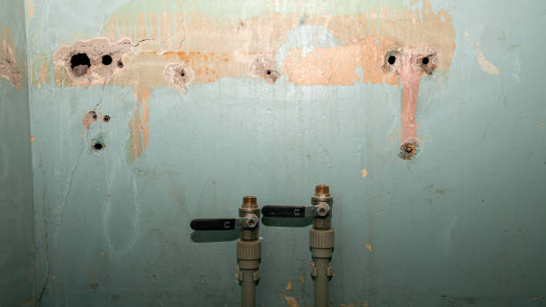  Nokomis, FL Water damage restoration Pros