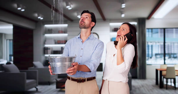 Best 24/7 water damage repair  in Nokomis, FL