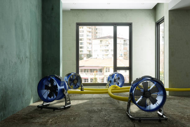Best Emergency water damage restoration  in Nokomis, FL
